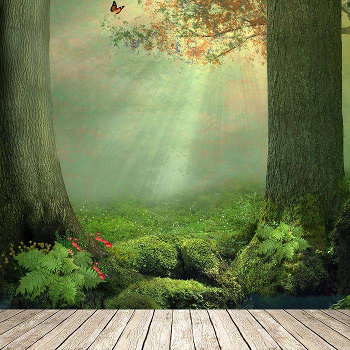 Enchanted Forest Playroom
