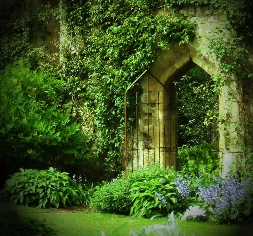 Fairy Garden Ideas