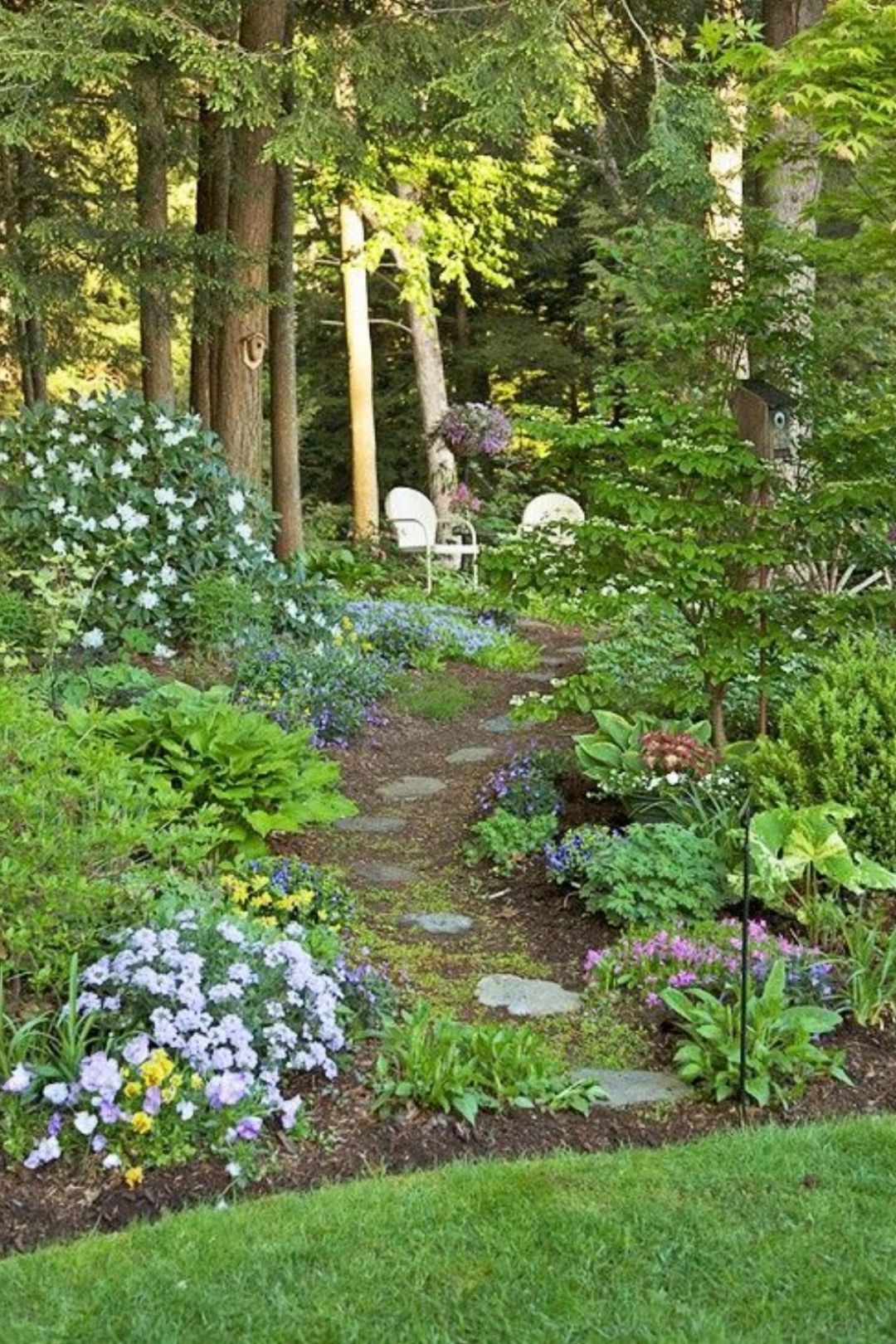 Enchanted Forest