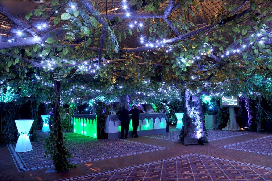 Enchanted Garden Wedding Wedding Lights