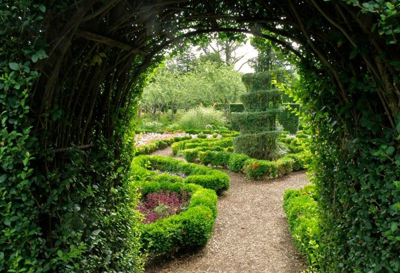 Your Own Enchanted Forest