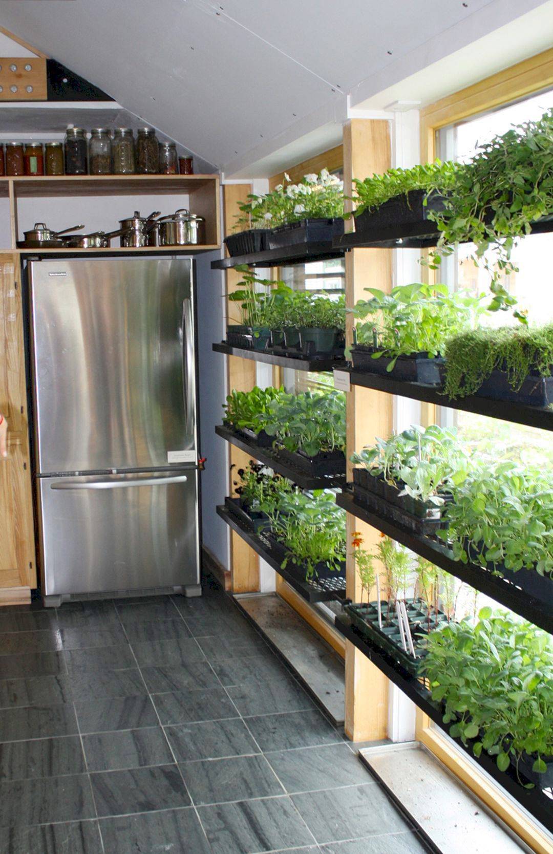 Indoor Gardening Ideas