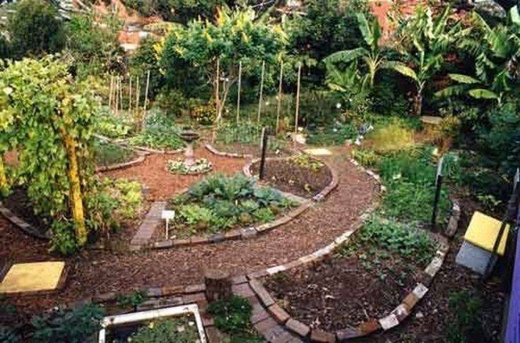 Beautiful Urban Permaculture Garden Example