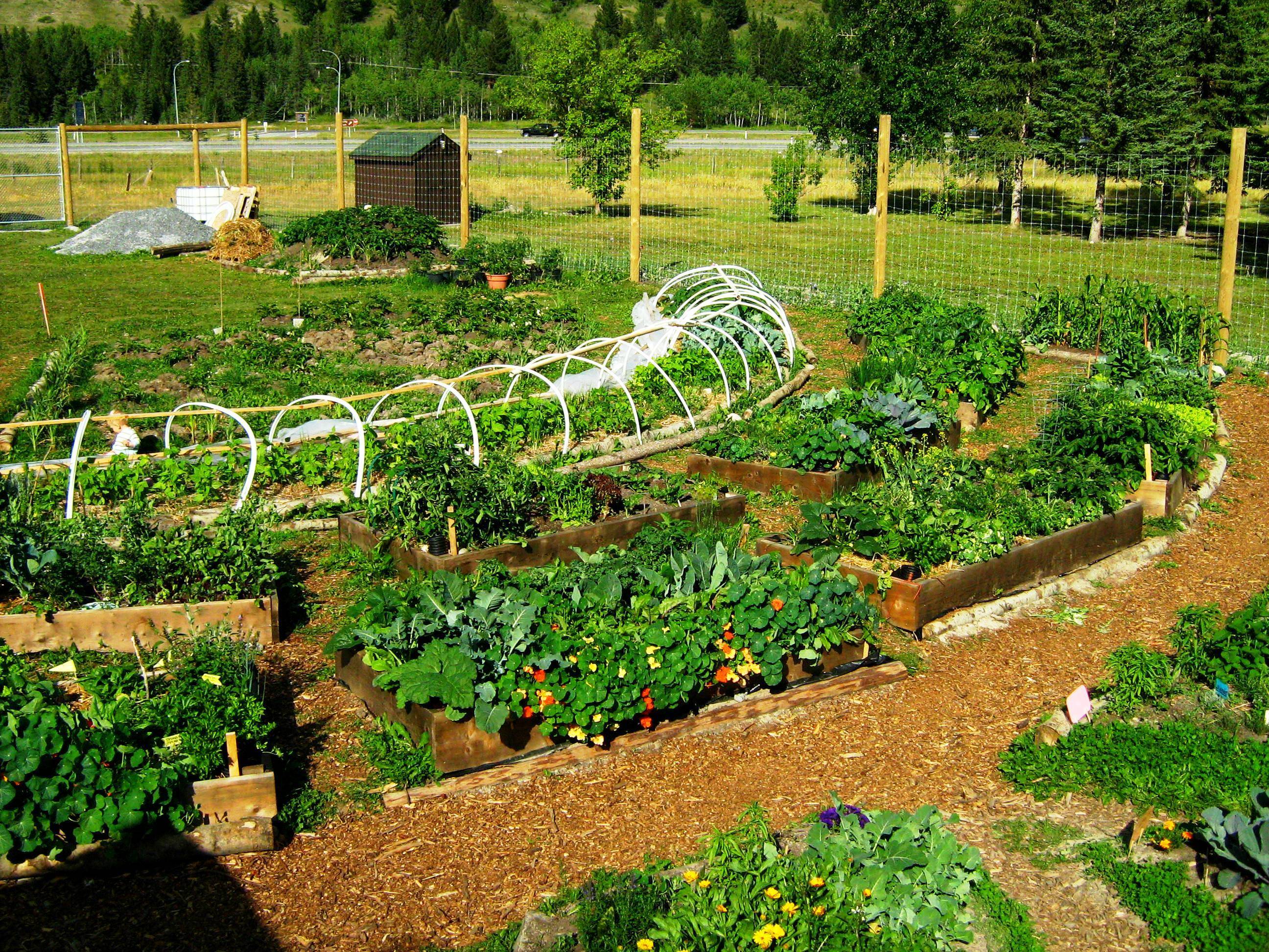 Canmore Community Gardening Society