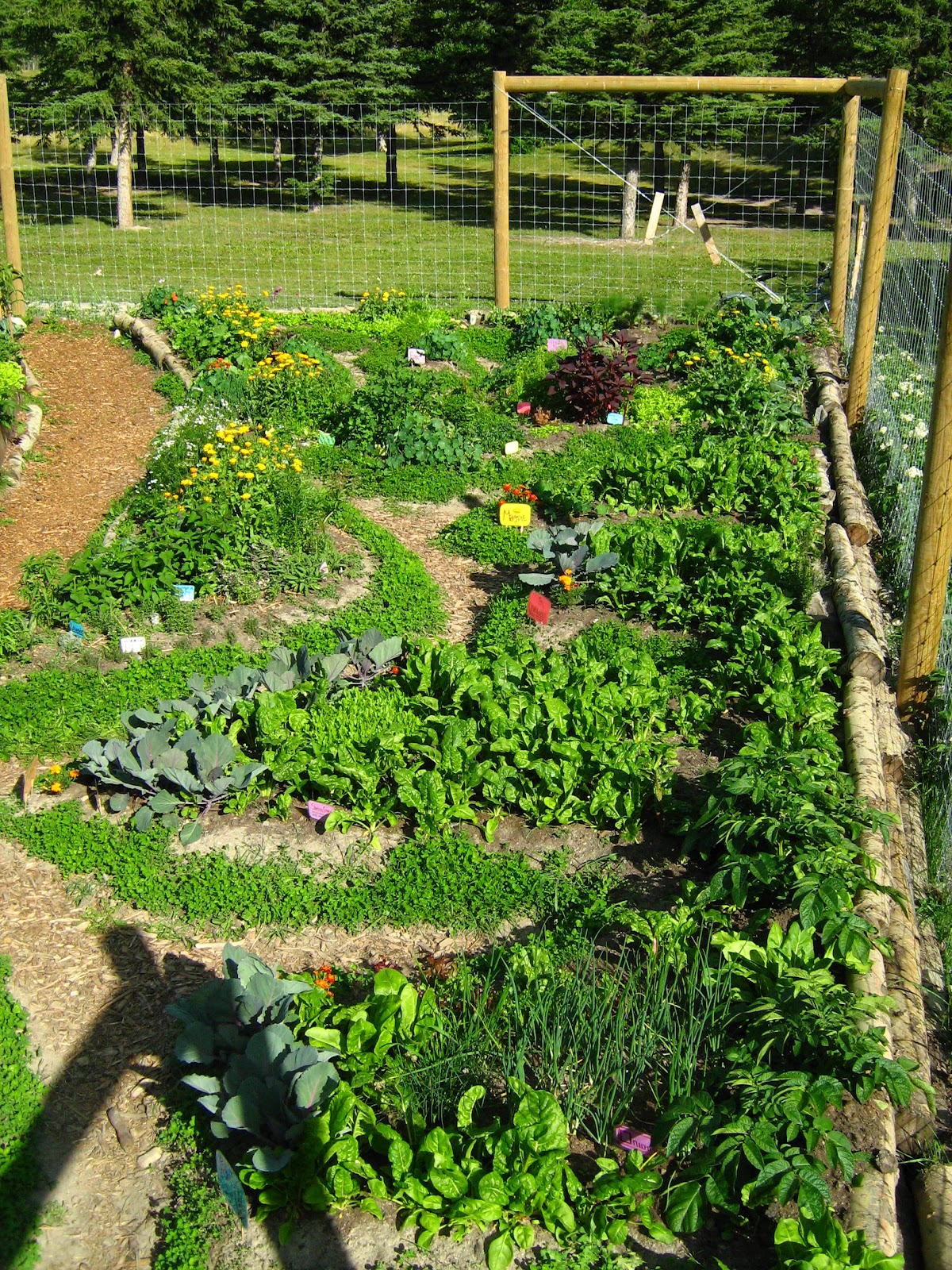 Permaculture Design Principle