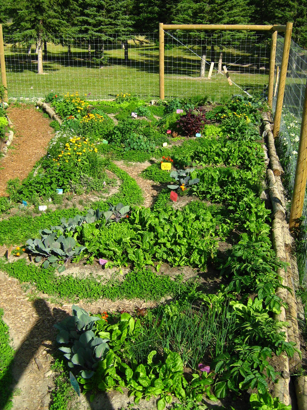 Permaculture Gardening Garden Design Vegetable Layout