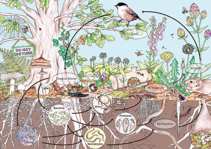 Our Permaculture