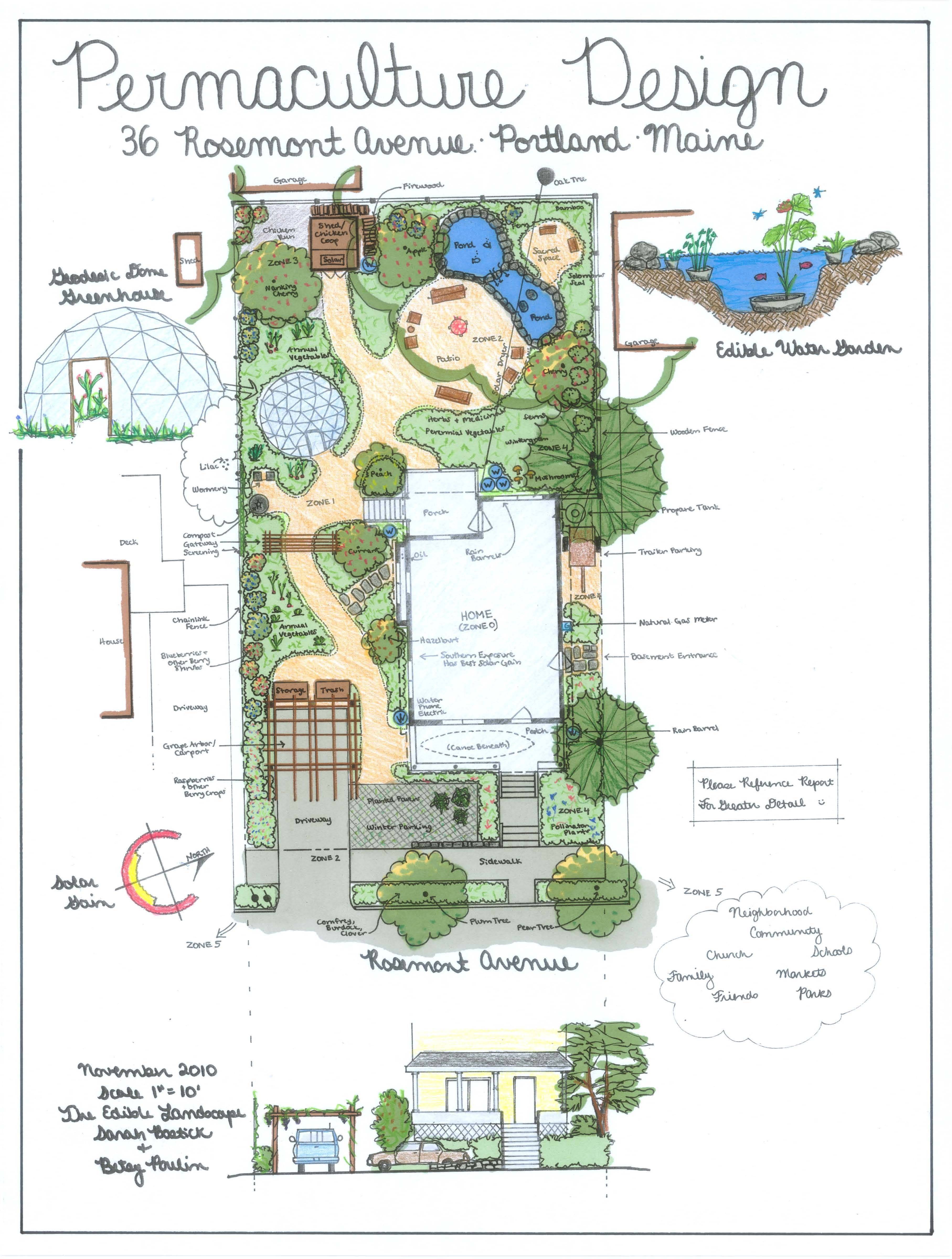 Food Forest Conceptual Diagram