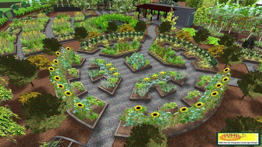 Food Forest Conceptual Diagram