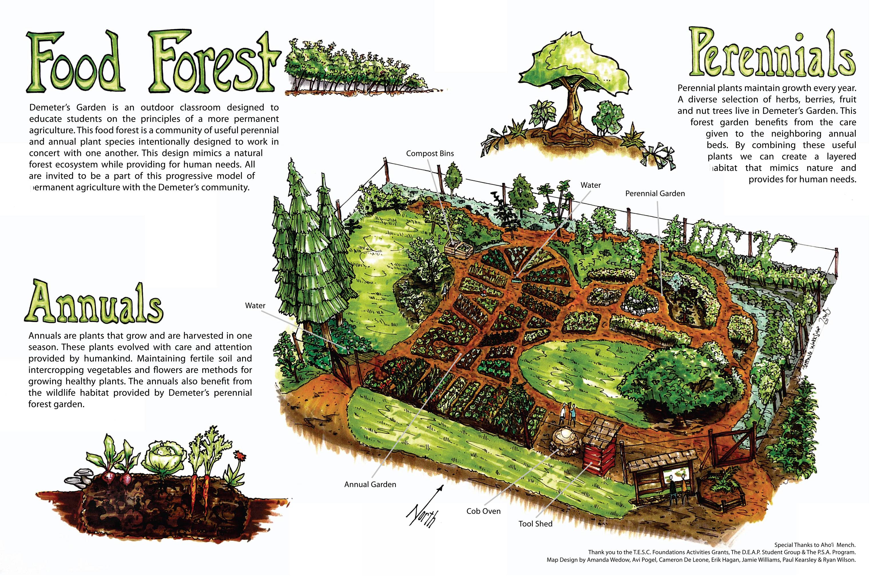 Regenerative Agriculture