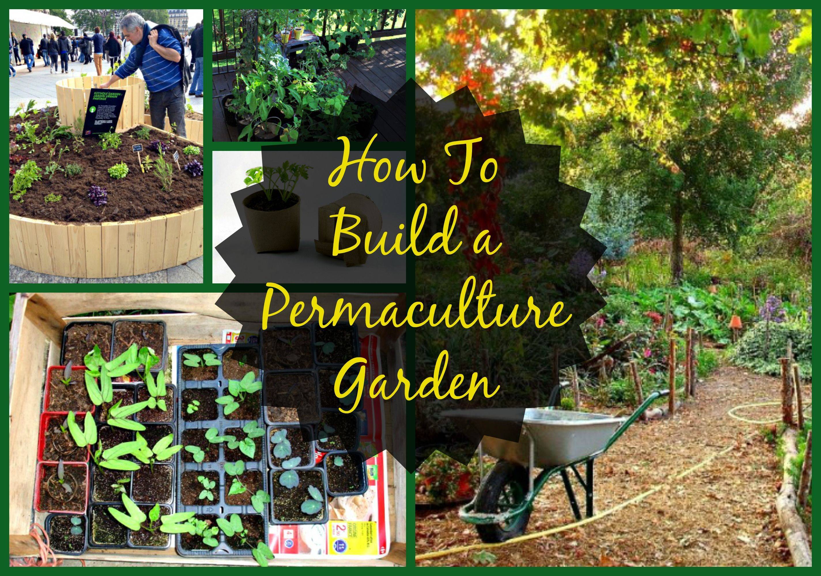Inspiring Vegetable Garden Design