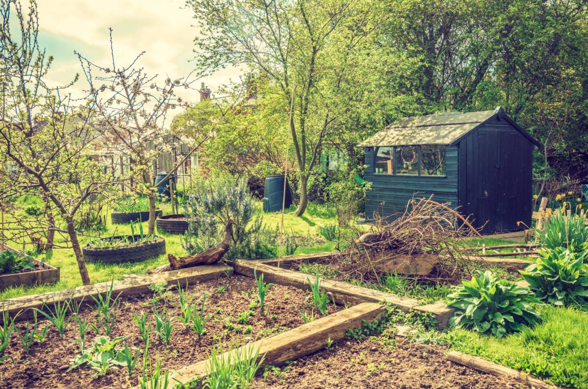 Permaculture Gardening Garden Design Vegetable Layout