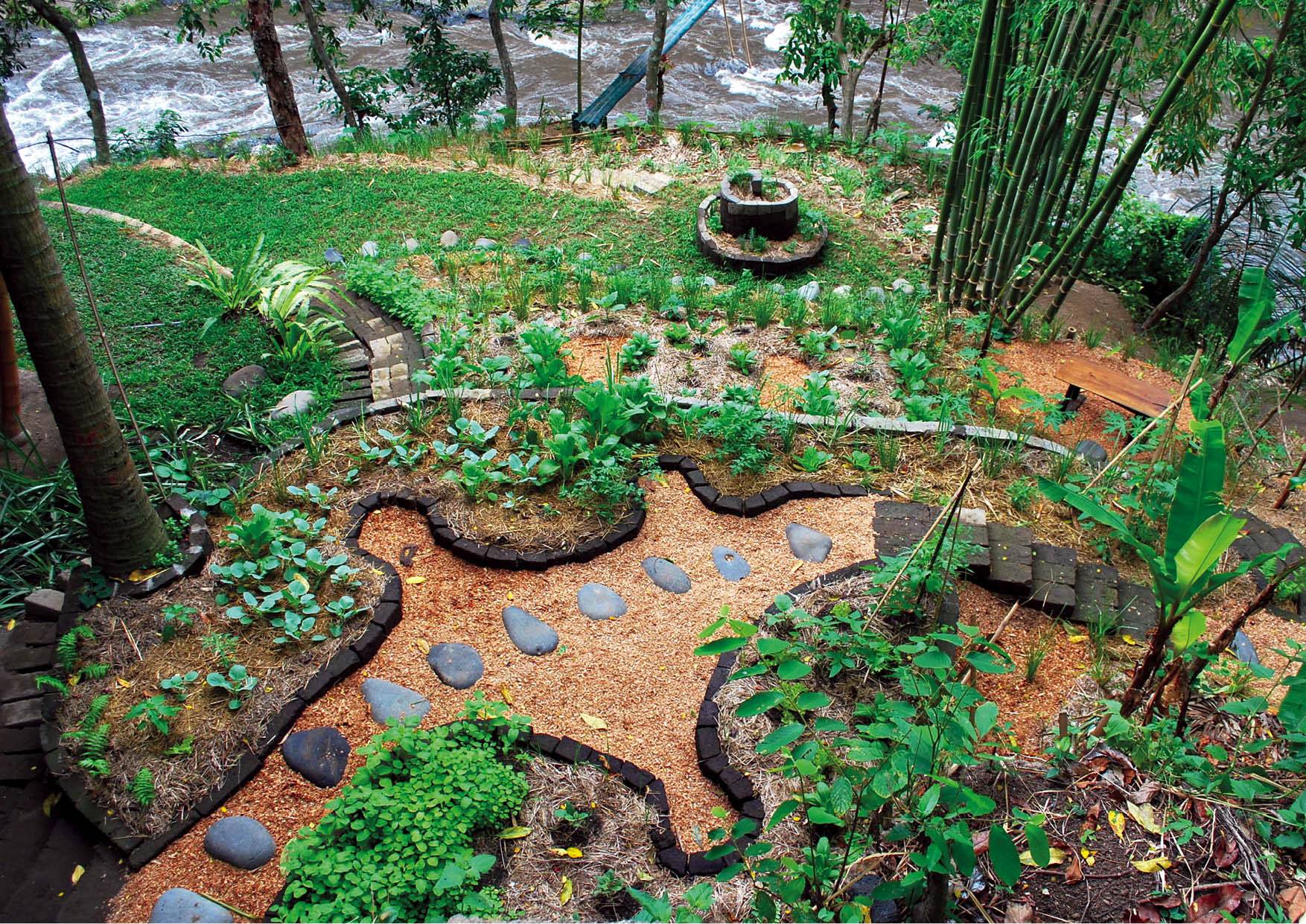 Permaculture Gardening Garden Design Vegetable Layout