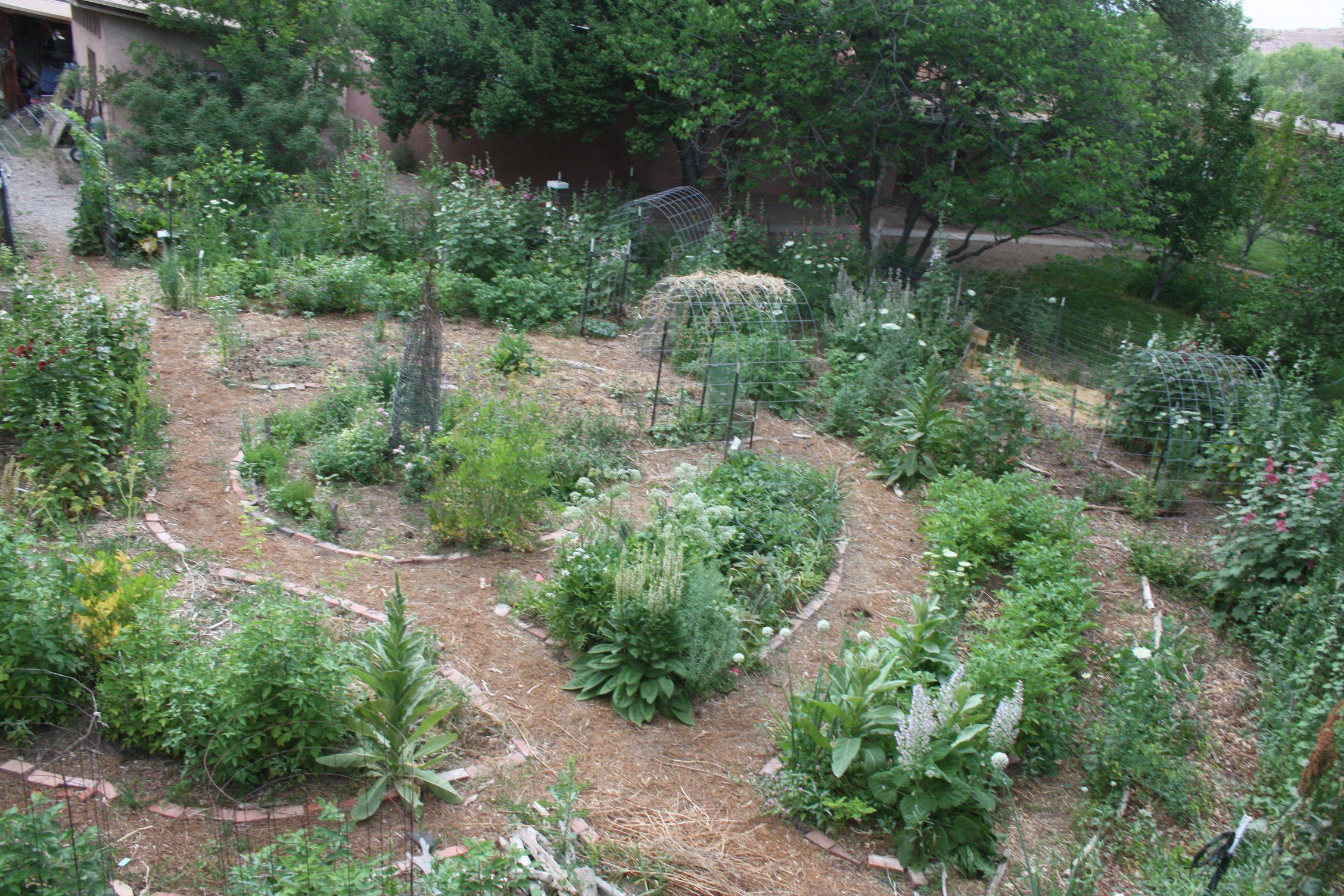 Beautiful Permaculture Garden Google Search