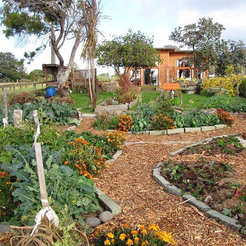 Beautiful Urban Permaculture Garden Example