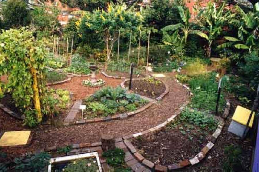 Permaculture Garden Design