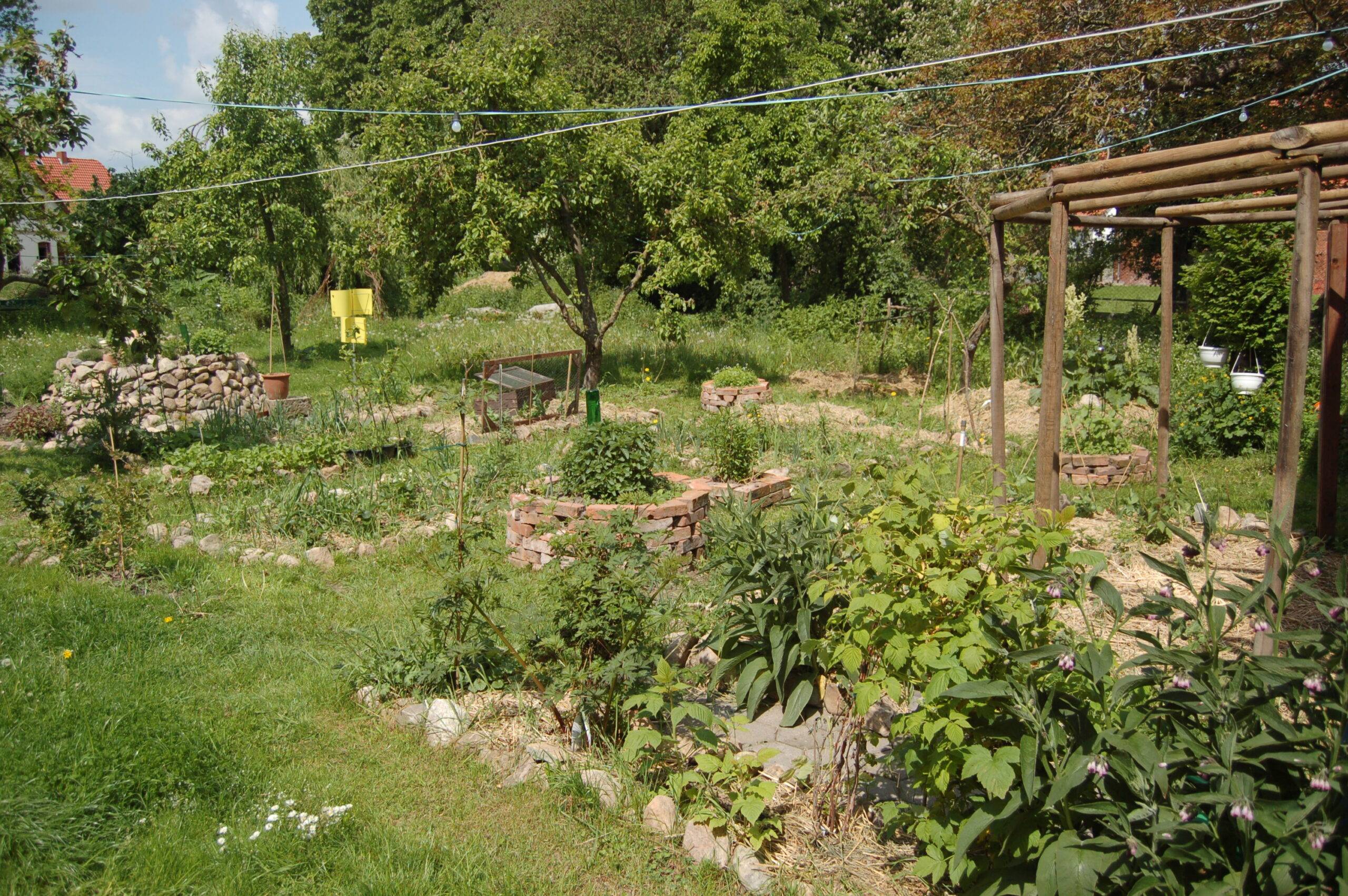 Permaculture Garden Vegetable Garden Design