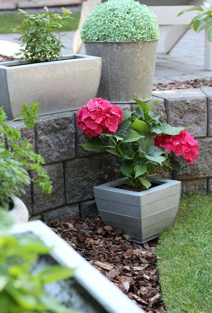 Best Vintage Garden Decor Ideas