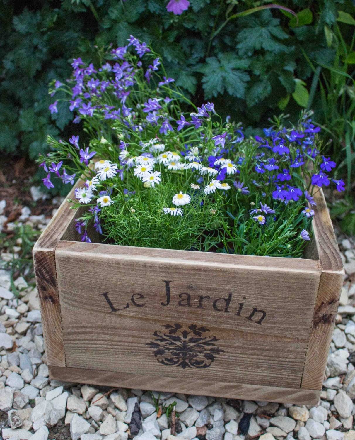Vintage Container Planter Ideas