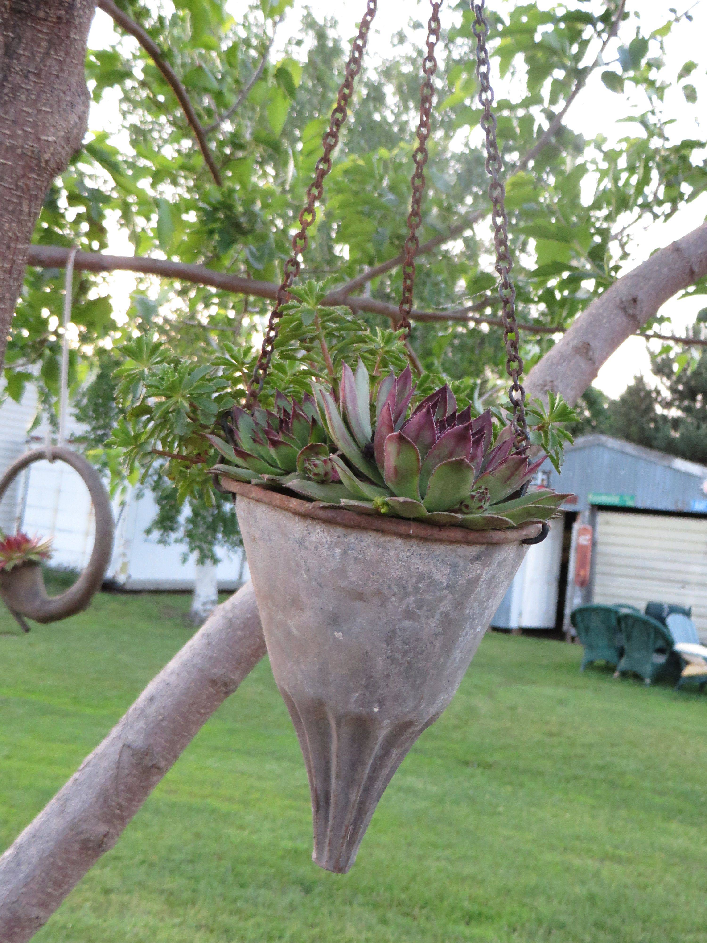 Container Gardening Planter Ideas