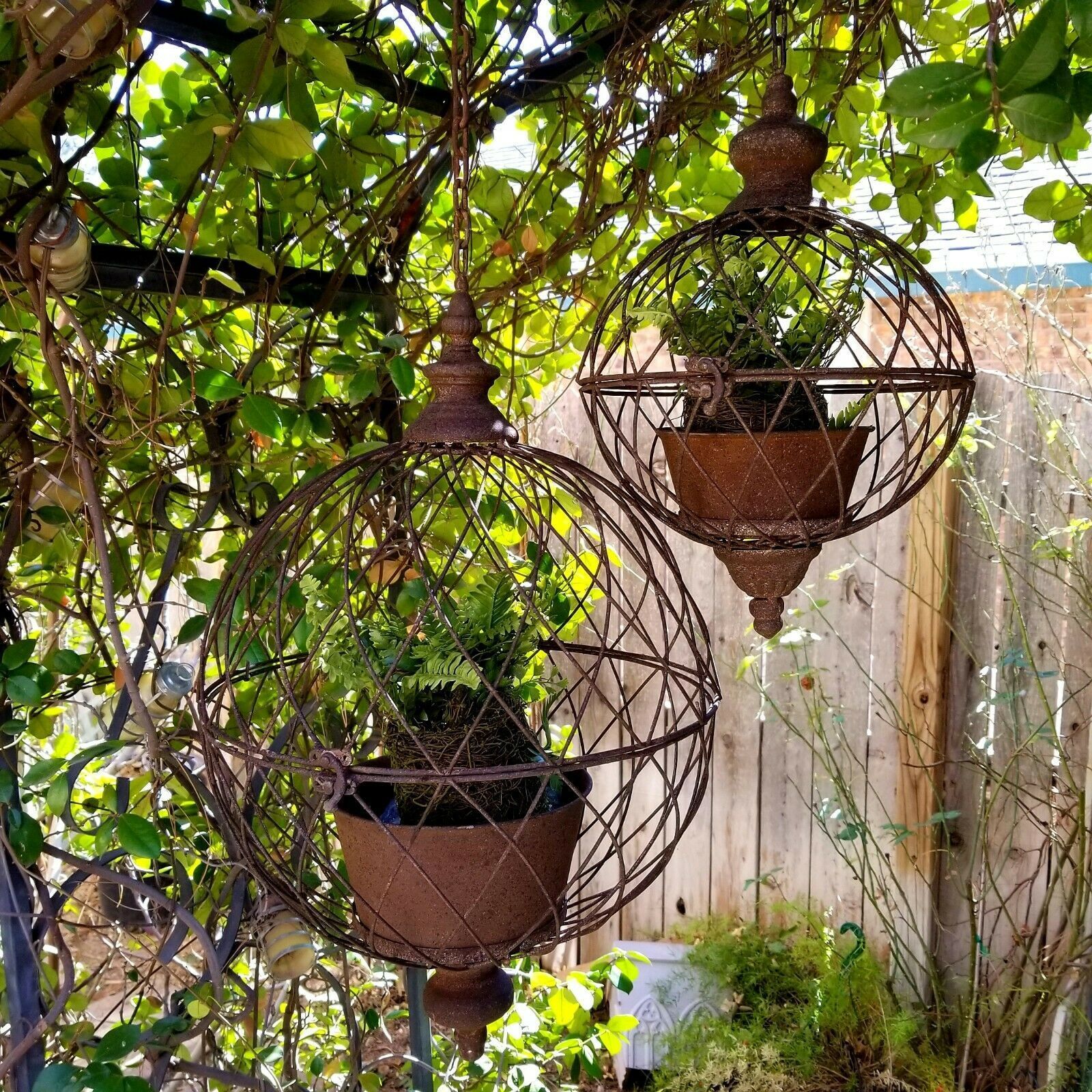 Vintage Container Planter Ideas