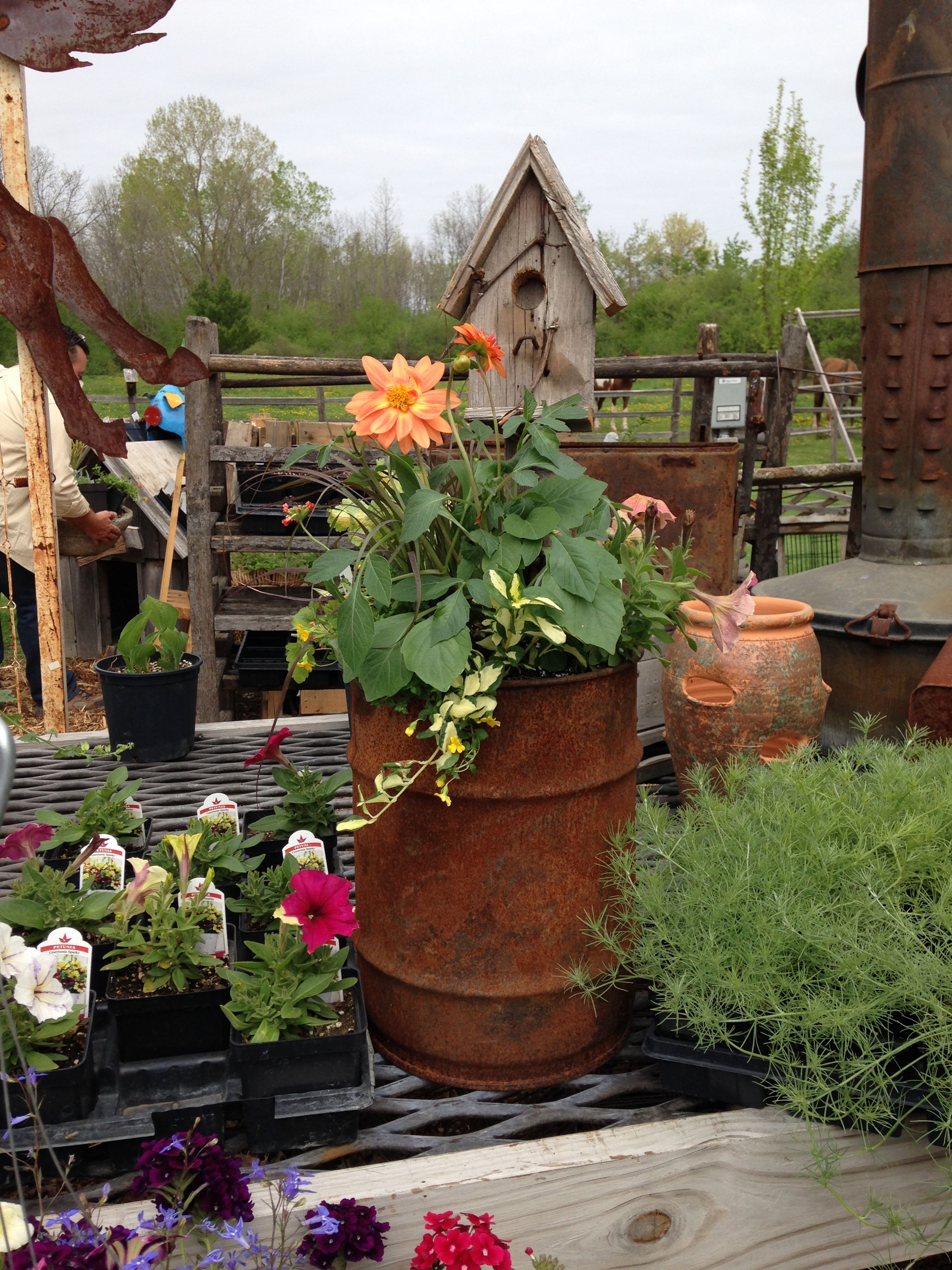 Vintage Furniture Planter Upcycling Ideas Balcony Decoration