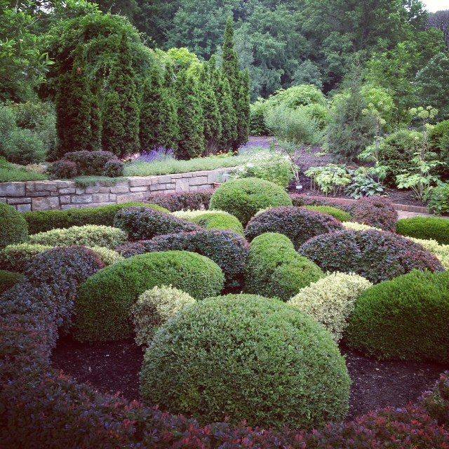 Inniswood Metro Gardens Rose Garden Pavonellodesign