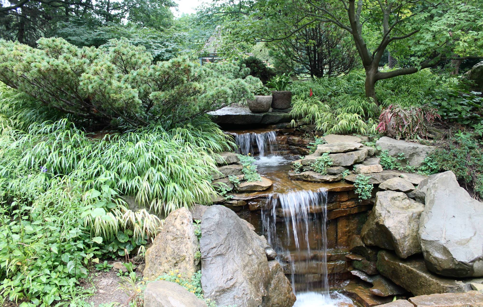 Inniswood Metro Gardens Garden