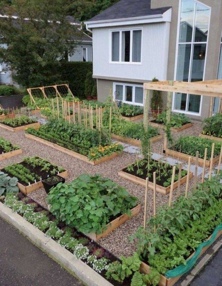 Great Front Yard Vegetable Garden Ideas