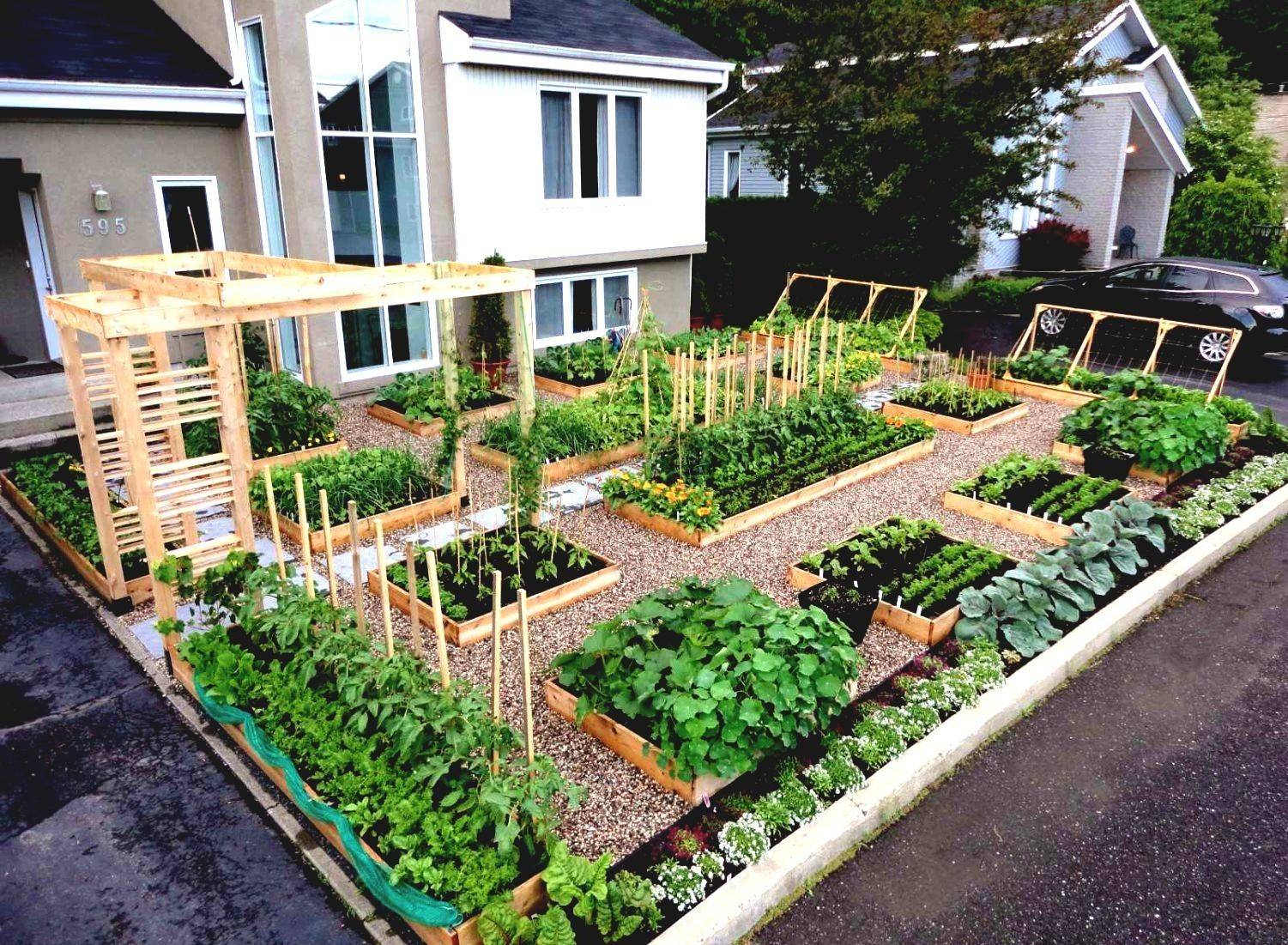 My Front Lawn Vegetable Garden