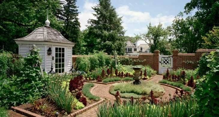 Pin On Gardening