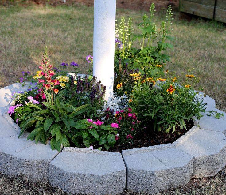 Amazing Flowers Pots