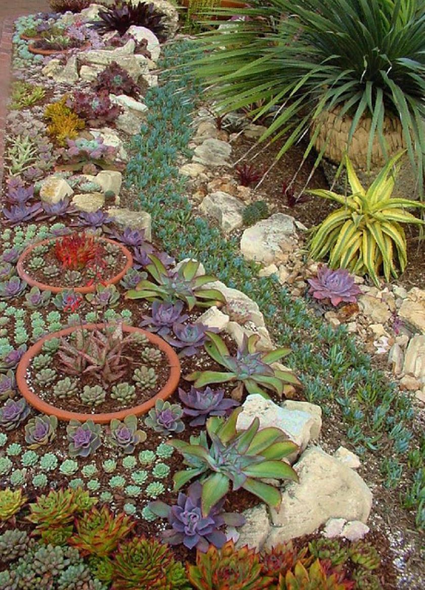 Rustic Flower Beds