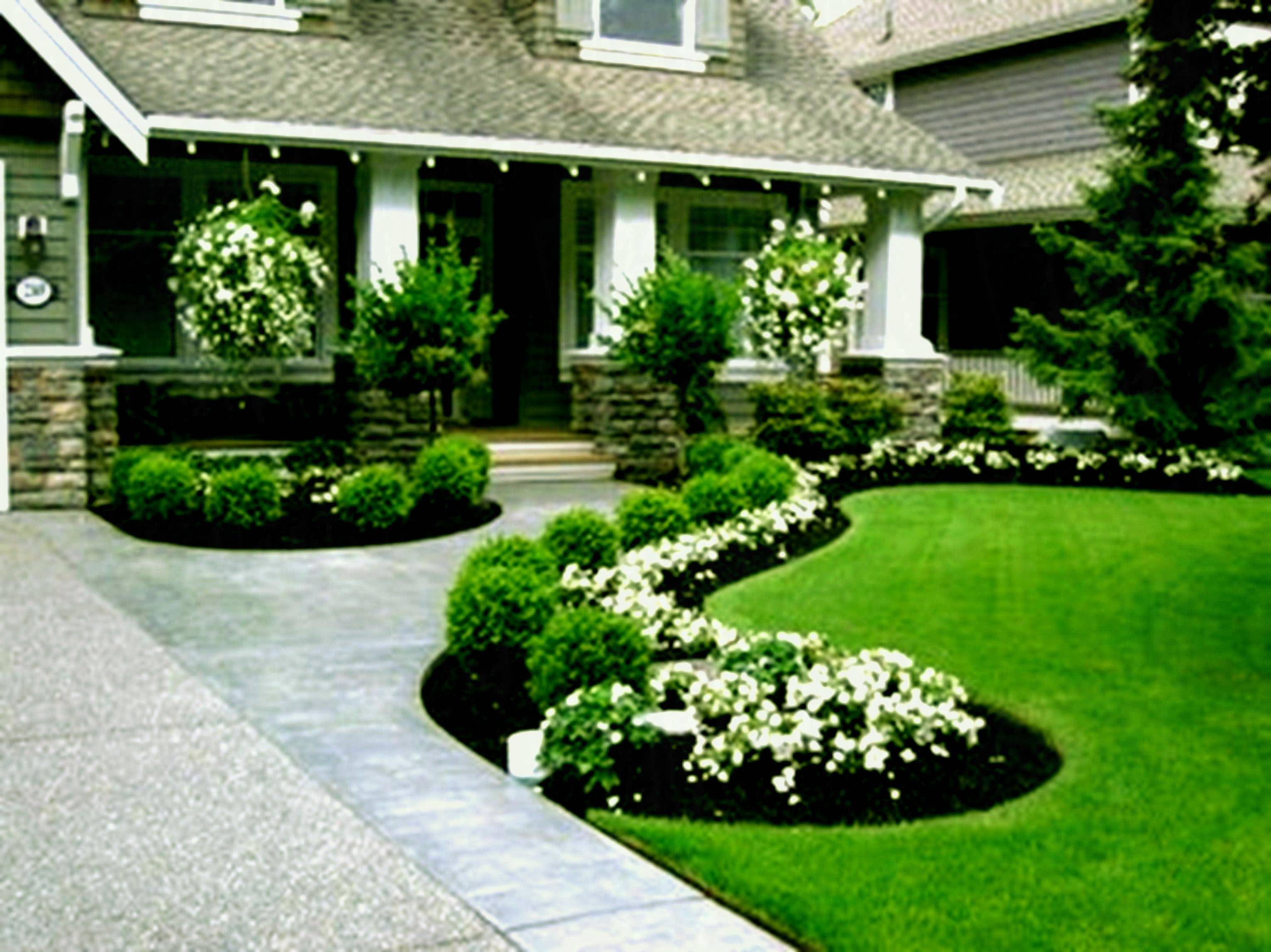 Stunning Low Maintenance Front Yard