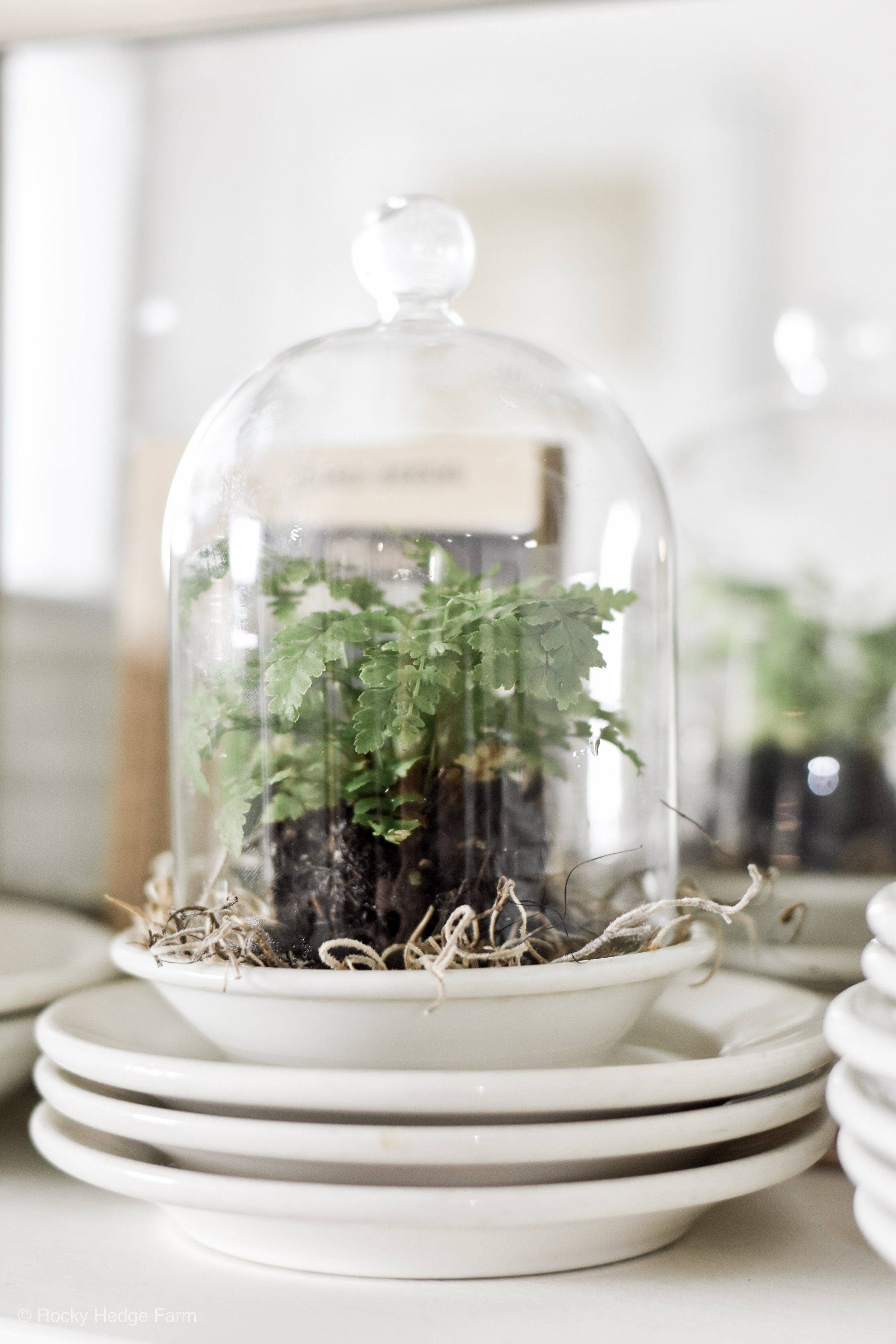 20 Kitchen Garden Cloche Ideas To Consider SharonSable