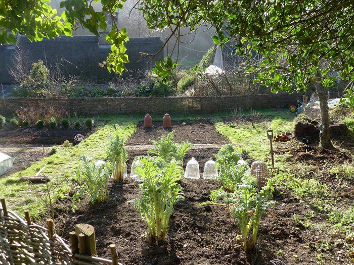 Woven Willow Cloches