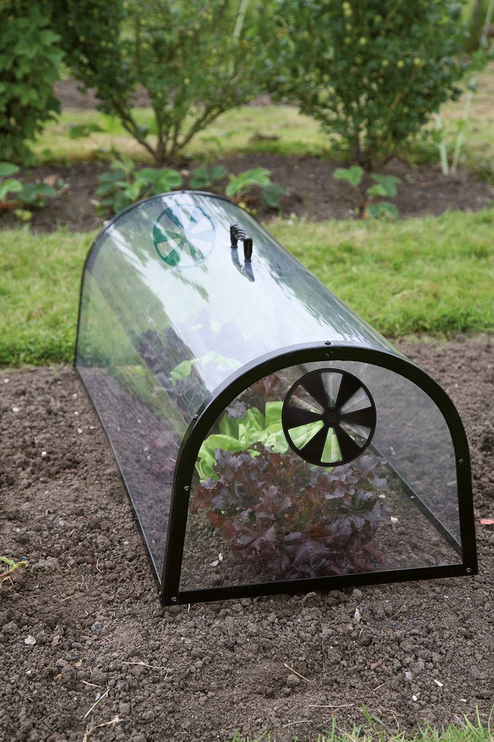 Haxnicks Kitchen Garden Cloche Bloomling Uk