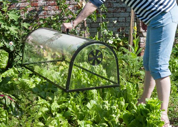 Haxnicks Kitchen Garden Cloche Bloomling Uk