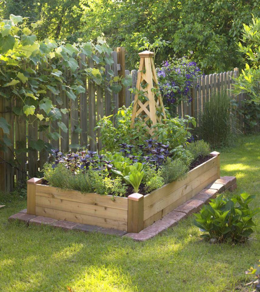 Vegetable Garden Raised Patio Backyard Wood Bed Containers