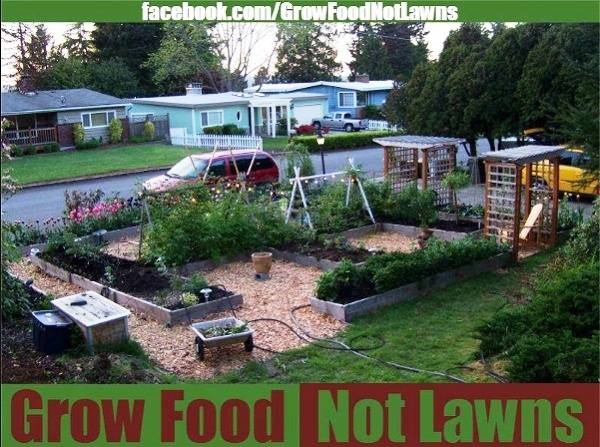 An Amazing Edible Garden