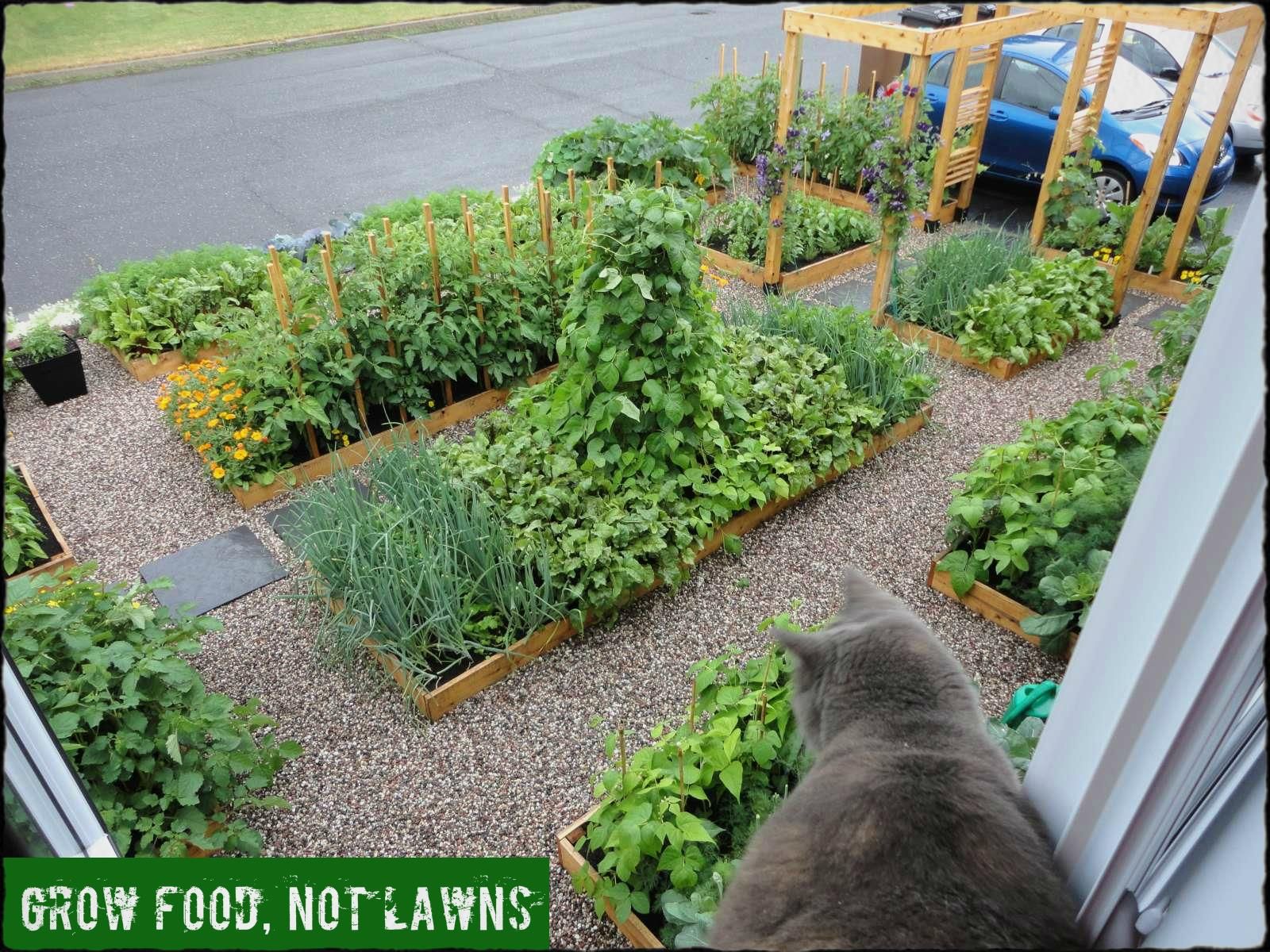 Suburban Or Urban Front Yard