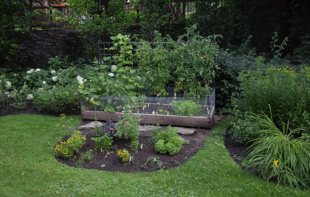 Your Backyard Vegetable Garden