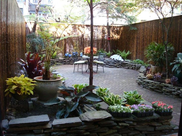 Backyard Design