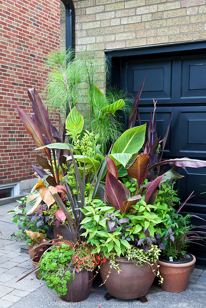 A Front Yard Veggie Garden
