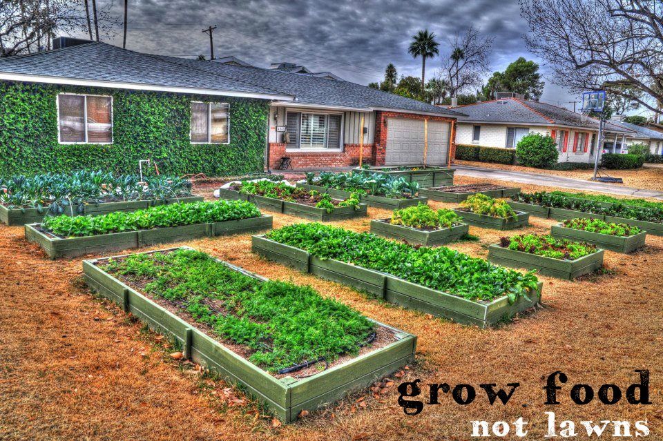 Rainwater Collection