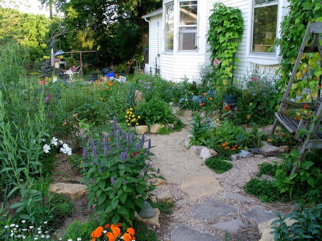 Vegetable Garden Raised Beds Veggies Gardening