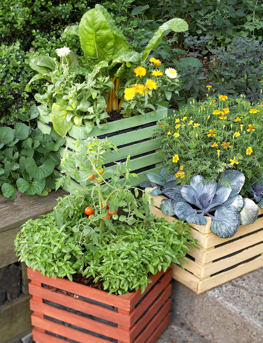 Herbs Patio Backyard Flower Vertical Herb Garden Indoor