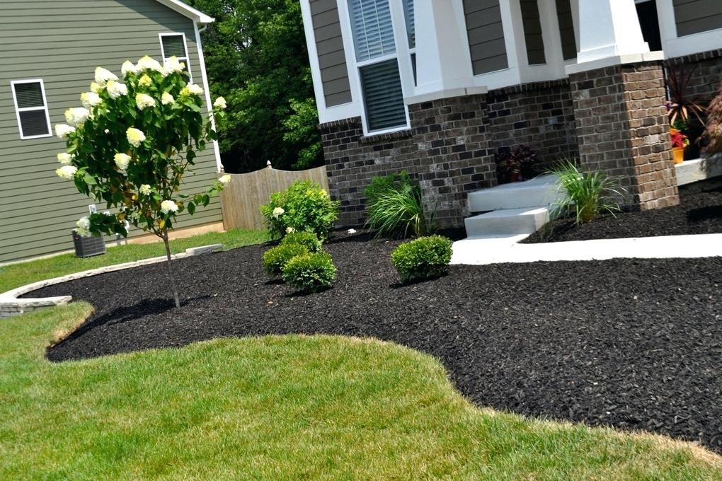 Landscaping Ideas