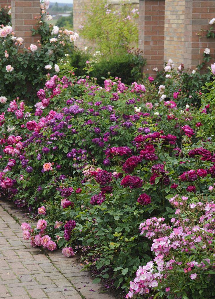 Small Yard Landscaping