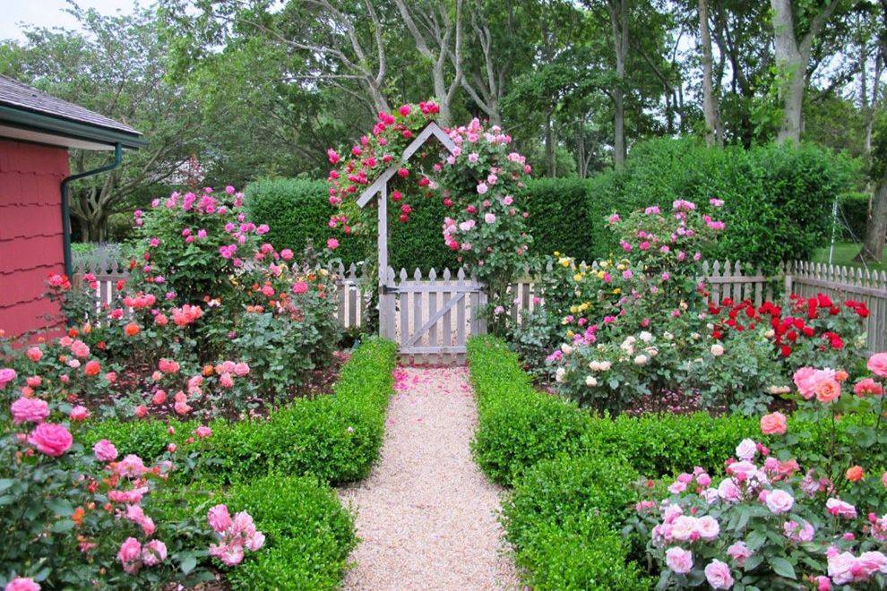 Rose Garden Design